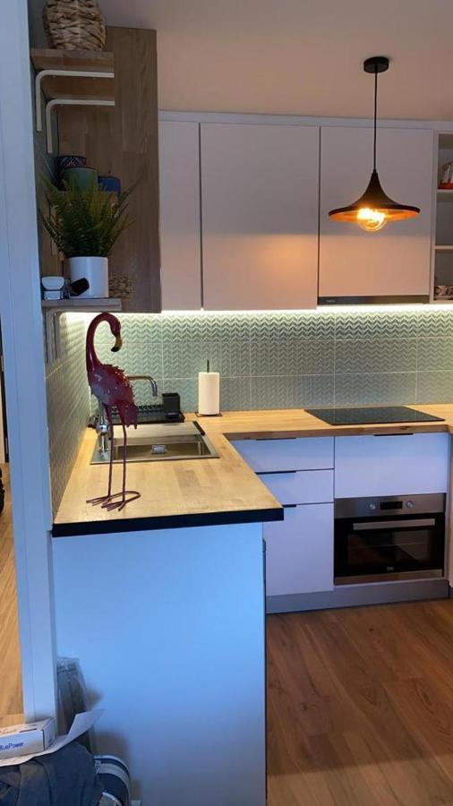 Pinomar Apartment La Mata  Ngoại thất bức ảnh